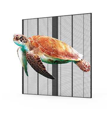 Portfolio Image