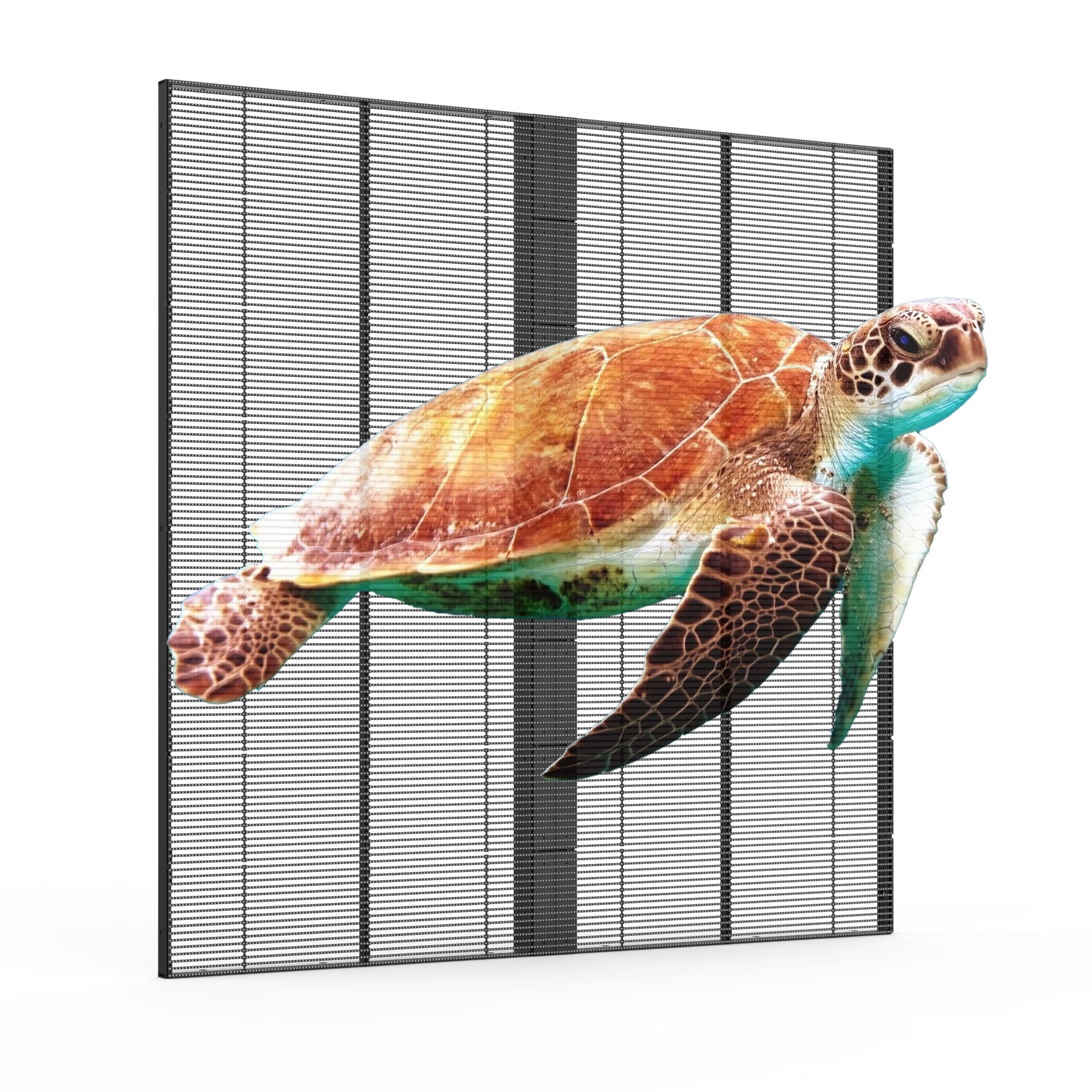Portfolio Details